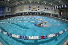 Swimming & Diving vs RWU  Swimming & Diving vs Roger Williams University. - Photo by Keith Nordstrom : Wheaton, Swimming